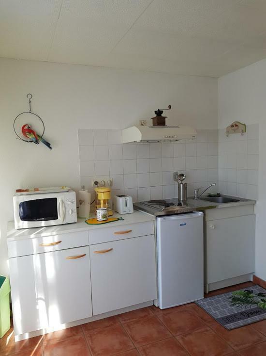Studio Cote Sud Vert Sarlat-la-Canéda Dış mekan fotoğraf